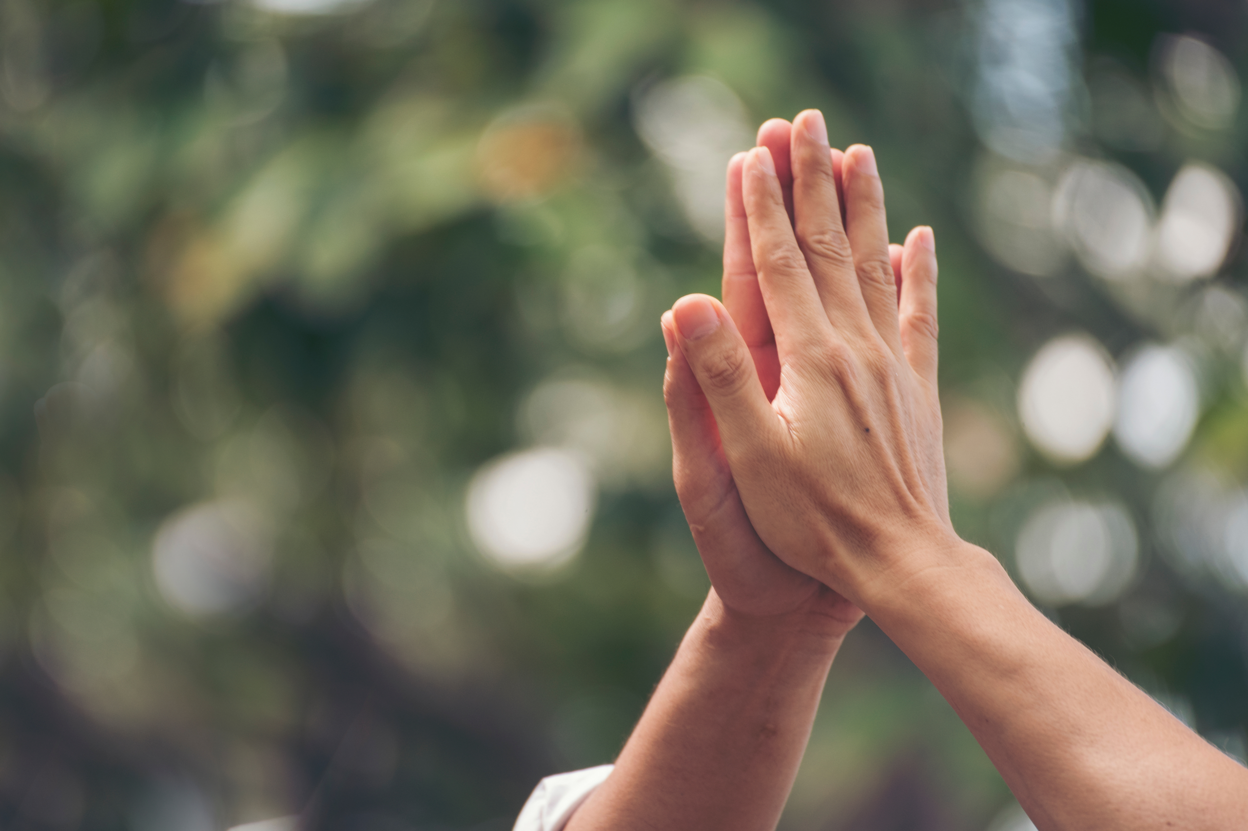 一般社団法人ジェムストーン｜障がい者支援・イベント